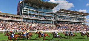 Ebor stand boxes